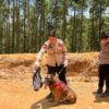Jangan Biarkan Reno Gugur Sia-sia: Perlu Regulasi Nasional K-9 SAR