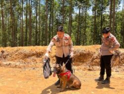 Jangan Biarkan Reno Gugur Sia-sia: Perlu Regulasi Nasional K-9 SAR
