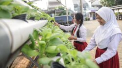 Suku Dinas KPKP Jaktim Gencarkan Urban Farming di Sekolah