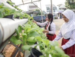 Suku Dinas KPKP Jaktim Gencarkan Urban Farming di Sekolah
