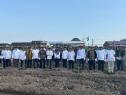 Baitul Wakaf Luncurkan Wakaf Produktif Pisang Cavendish di Yogyakarta