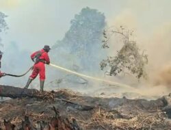 Hotspot Riau Anjlok 60 Persen, Lahan Gambut Kerumutan Masih Jadi Sorotan