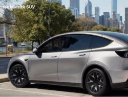 China Tarik Empat Juta Mobil Listrik, Tiga Juta Diantaranya Tesla
