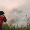 Hotspot Nasional Berkurang 400 Titik, Kemenhut Terus Perkuat Pengendalian Karhutla