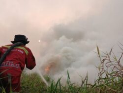 Hotspot Nasional Berkurang 400 Titik, Kemenhut Terus Perkuat Pengendalian Karhutla