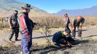 Kemenhut Terjunkan Tim Ahli Dalami Dugaan Pidana dan Penyebab Kebakaran Bromo