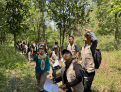 Kemenhut Dorong Generasi Muda Jaga Ekosistem Merapi