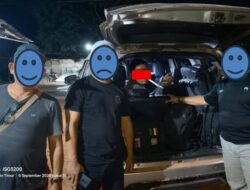Kemenhut Tangkap Pemodal Pembalakan Liar di Kalteng