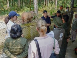 Menhut dan Dubes Norwegia Tinjau Langsung Penanganan Karhutla