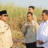 Dalam Dua Tahun Pemerintah Siap Produksi BBM Campuran E20