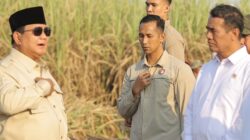 Dalam Dua Tahun Pemerintah Siap Produksi BBM Campuran E20