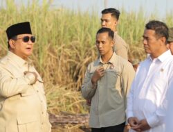 Dalam Dua Tahun Pemerintah Siap Produksi BBM Campuran E20