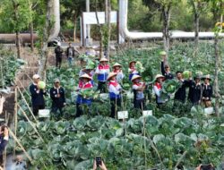 Panas Bumi Bantu Petani Hasilkan Pupuk GeO-Fert