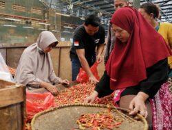 Pramono: Lonjakan Harga Cabai Tak Meningkatkan Inflasi