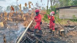 Kemenhut Laporkan Hotspot Nasional Turun 288 Titik