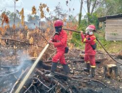 Kemenhut Laporkan Hotspot Nasional Turun 288 Titik