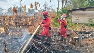 Kemenhut Laporkan Hotspot Nasional Turun 288 Titik