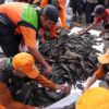 Jakarta Alokasikan Anggaran untuk Kaji Ikan Sapu-Sapu