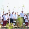 Program Mageri Segoro Jateng Sudah Tanam 2,34 Juta Mangrove