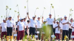 Program Mageri Segoro Jateng Sudah Tanam 2,34 Juta Mangrove