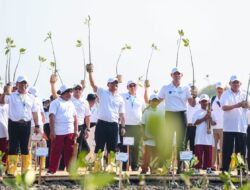 Program Mageri Segoro Jateng Sudah Tanam 2,34 Juta Mangrove