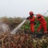 Kemenhut Sampaikan Duka Cita Atas Gugurnya Empat Petugas Pemadaman Kebakaran di TNBTS