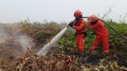 Kemenhut Sampaikan Duka Cita Atas Gugurnya Empat Petugas Pemadaman Kebakaran di TNBTS