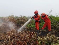 Kemenhut Sampaikan Duka Cita Atas Gugurnya Empat Petugas Pemadaman Kebakaran di TNBTS
