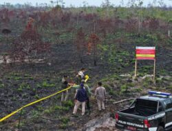 Perusahaan Pembakar Hutan yang Kena Sanksi Terus Bertambah