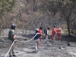 Atasi Karhutla Pemprov Jatim Gunakan Strategi Sekat Bakar