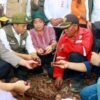Badan Pengelola Gambut dan Mangrove Nasional Segera Terbentuk