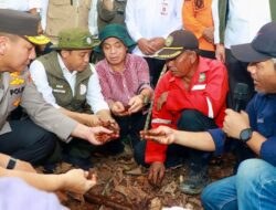 Badan Pengelola Gambut dan Mangrove Nasional Segera Terbentuk