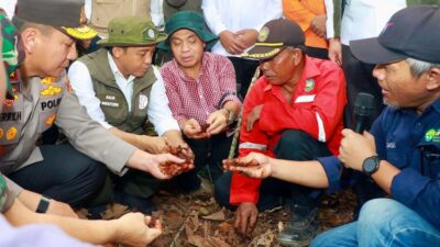 Badan Pengelola Gambut dan Mangrove Nasional Segera Terbentuk