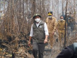 Menhut Kawal Pengendalian Karhutla di Taman Nasional Sebangau