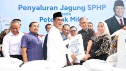 Empat Juta Peternak Dukung Hilirisasi Peternakan