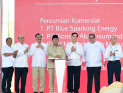 Presiden Resmikan 11 Proyek Hilirisasi Senilai Rp 180 Triliun