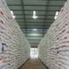 Produksi Beras Sumut Lampaui Kebutuhan, Surplus Capai 27.633 Ton