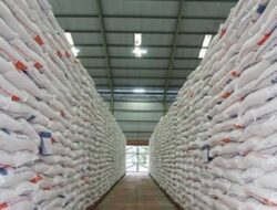 Produksi Beras Sumut Lampaui Kebutuhan, Surplus Capai 27.633 Ton