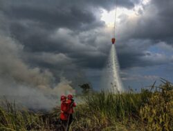 Hotspot Turun 1.019 Titik, Operasi Pemadaman Karhutla dan Perlindungan Satwa Tetap Diperkuat